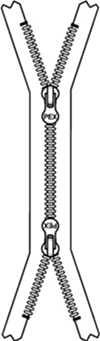 X Type