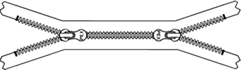 X Type